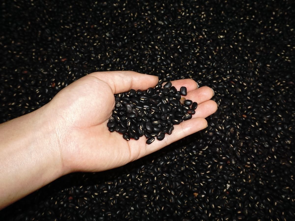 Beans, Rice & Grains
