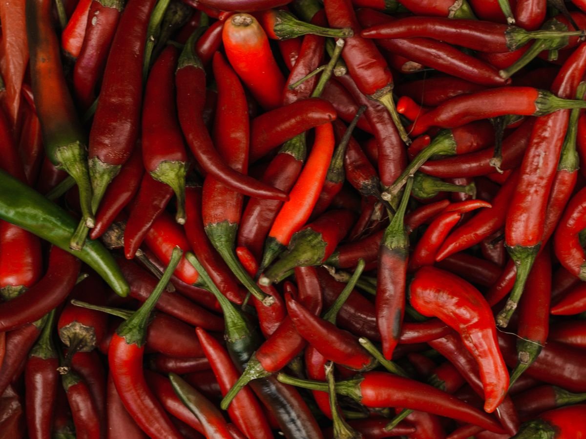 Pimentas vermelhas frescas para molhos e conservas